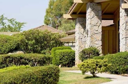 Commercial-Gardening-2
