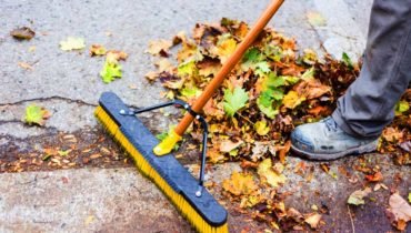 Garden-Cleanup
