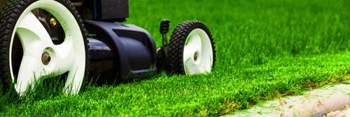 Mow-Lowing