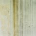 How mould affects your health and how to handle outside mould.